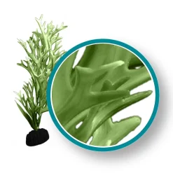 Weco Products Marine Pro Series Giant Kelp Aquarium Plant - Green - 12 in - Giant