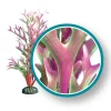 Weco Products Marine Pro Series Giant Kelp Aquarium Plant - Red - 18 in - Giant