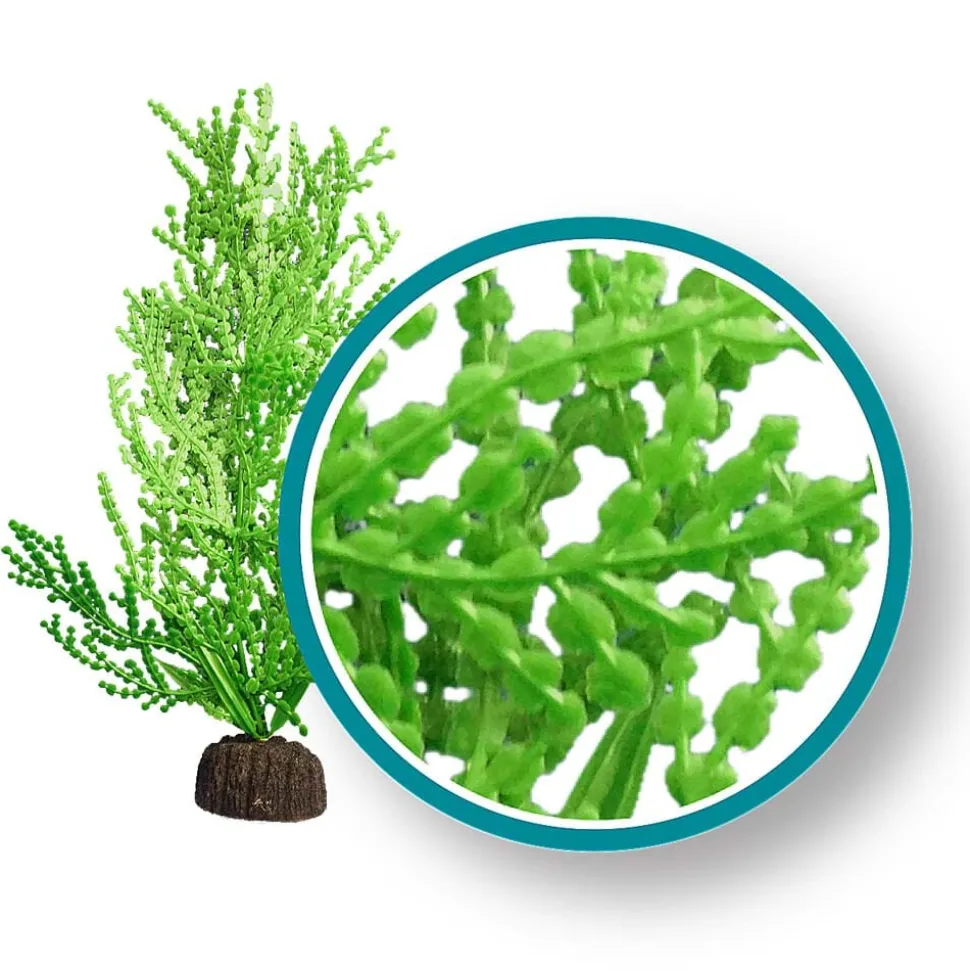 Weco Products Marine Pro Series Giant Halimeda Aquarium Plant - Green - 6 in