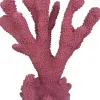 Weco Products South Pacific Coral Cats Paw Ornament - Rose - Medium