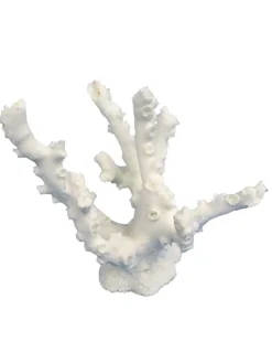 Weco Products South Pacific Coral Octopus Ornament - White - Small