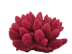 Weco Products South Pacific Coral Acorapora Humilis Ornament - Rose - Small