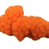 Weco Products South Pacific Coral Tubastrea Ornament - Orange - Medium
