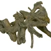 Weco Products Wecorama Aquarama Evil Root - Grey and Brown - Small