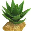 Weco Products Wecorama Badlands Aloe Vera Terrarium Ornament Brown, Green - 5 in