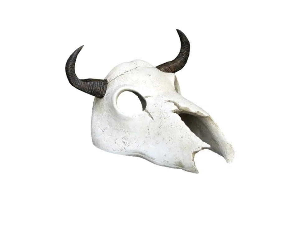 Weco Products Wecorama Catacombs Longhorn Skull Aquarium Ornament - Black and White