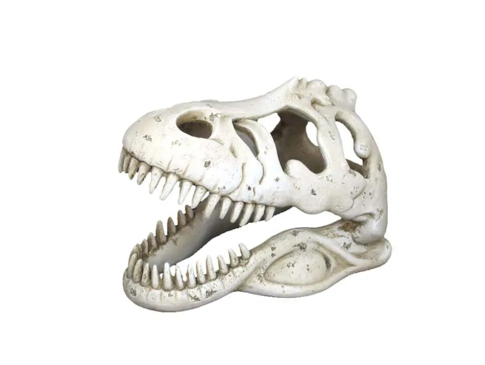 Weco Products Wecorama Catacombs T-REX Skull Aquarium Ornament - White