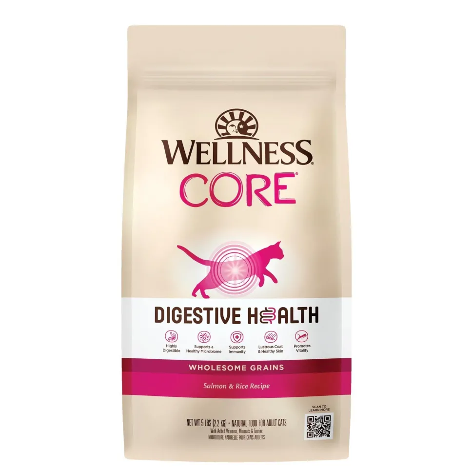 Wellness Core Digestive Health Salmon Recipe Dry Cat Food