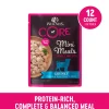 Wellness Core Mini Meals Chunky Chicken and Tuna in Gravy Small-Breed Wet Dog Food Pouch - Variety Pack - 3 Oz - Case of 12 - 2 Pack