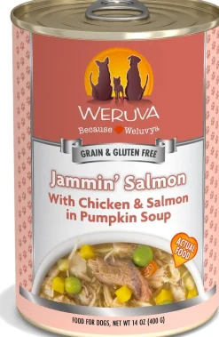 Weruva BFF BE JAMMIN Chicken and Salmon Wet Dog Food - 2.7 Oz Tub - Case of 12