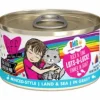 Weruva BFF LOTS LUCK Duck Tuna Canned Cat Food - 2.8 Oz - Case of 12