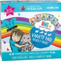Weruva BFF OMG Variety POTLUCK Wet Cat Food - 2.8 Oz Pack - Case of 12