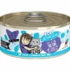 Weruva BFF PLAY TIC TOC Beef Pate Canned Cat Food - 5.5 Oz - Case of 8