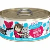 Weruva BFF PLAY Trackstar Duck Pate Canned Cat Food - 5.5 Oz - Case of 8
