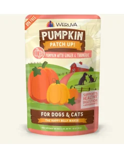 Weruva Dog and Cat Pumpkin and Ginger Wet Pet Food - 1.05 Oz Pouch - Case of 12