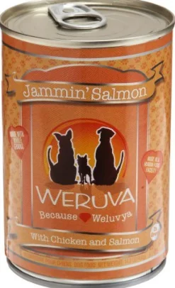 Weruva Jammin' Salmon Canned Dog Food - 14 Oz - Case of 12
