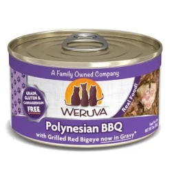 Weruva Polynesian BBQ Canned Cat Food - 5.5 Oz - Case of 24