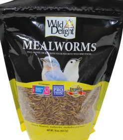 Wild Delight Advanced Mealworms Wild Bird Food - 16 Oz