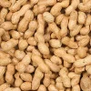 Wild Delight Wildlife Inshell Peanuts Wild Bird Food - 5 Lbs