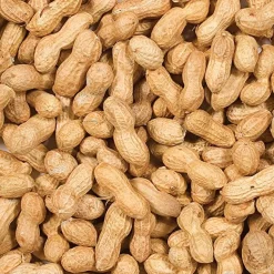 Wild Delight Wildlife Inshell Peanuts Wild Bird Food - 5 Lbs
