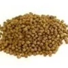 Zeigler Bros 3mm Aquatic Turtle Monster Diet Turtle Food - 10 oz