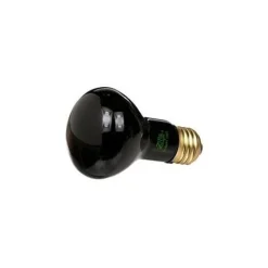 Zilla Incandescent Night Black Heat Spot - 50 W