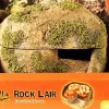 Zilla Rock Lair- Small