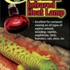 Zoo Med Laboratories 50 Watt Nocturnal Infrared Heat Lamp