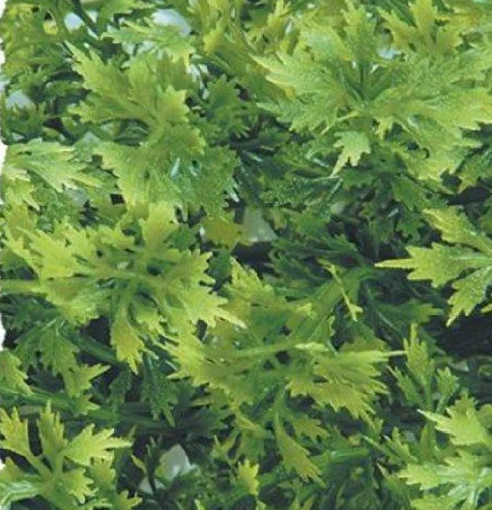 Zoo Med Laboratories Australian Maple Plastic Plant Terrarium and Aquarium Décor - Medium