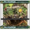 Zoo Med Laboratories Double Door Reptile Paludarium Terrarium and Aquarium - L:36" X W:18" X H:36" Inches