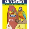 Zoo Med Laboratories Large Banquet Cuttlebone - 8 Oz
