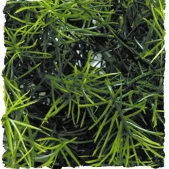 Zoo Med Laboratories Natural Cashuarina Bush Plastic Plant Aquarium Décor - Small