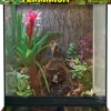 Zoo Med Laboratories Naturalistic Terrarium Tank with Door and Screen Cover - Medium - L:12" X W:12" XH:18" Inches