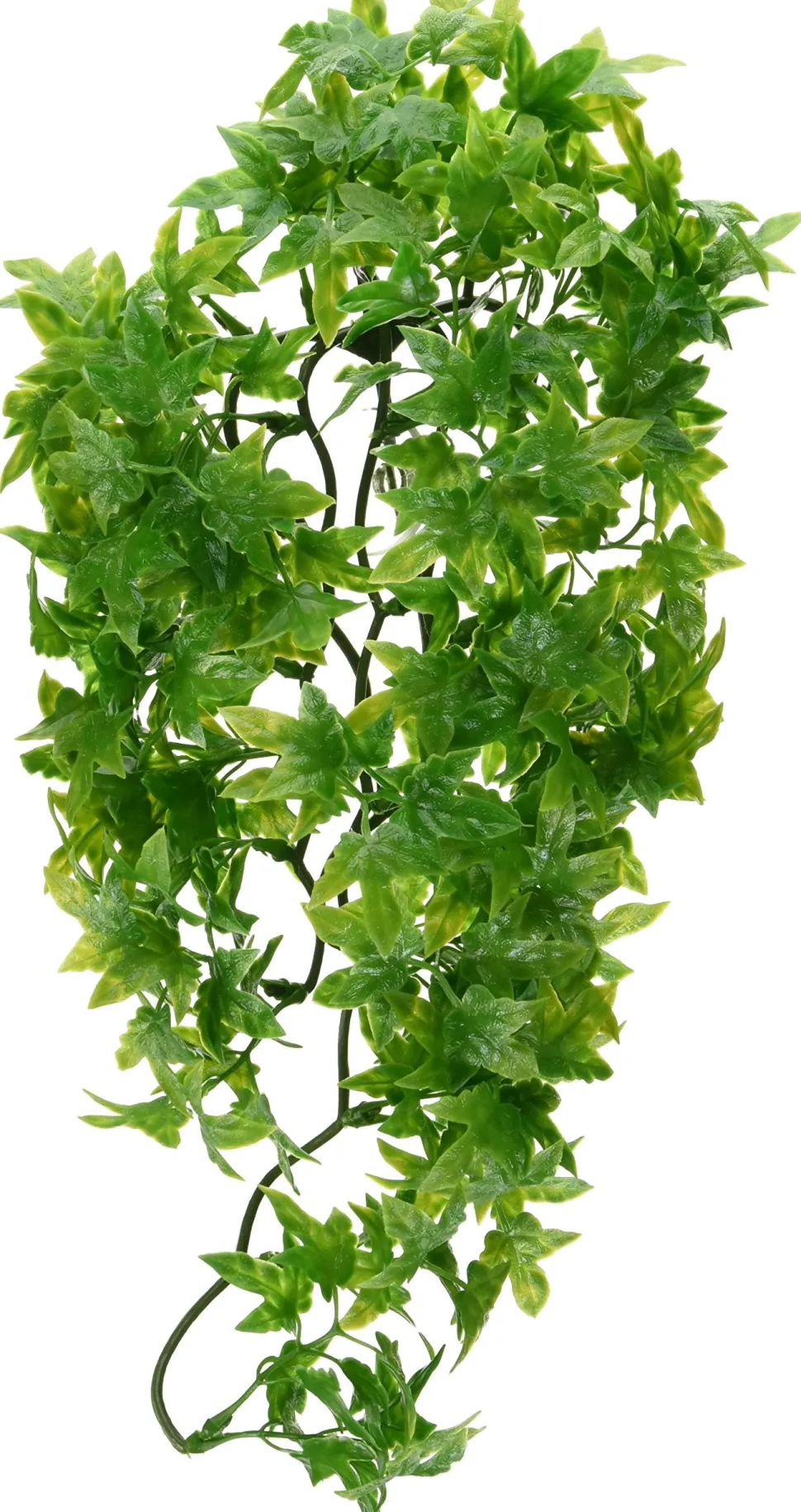 Zoo Med Laboratories Natural Bush Congo Ivy Plastic Plant Aquarium and Terrarium Décor - Medium