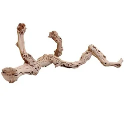 Zoo Med Laboratories Sand Blasted Grapevine Wood Bird and Terrarium Décor - 18-24" Inches