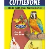 Zoo Med Laboratories Small Banquet Cuttlebone for All Pet Birds - 3 Oz